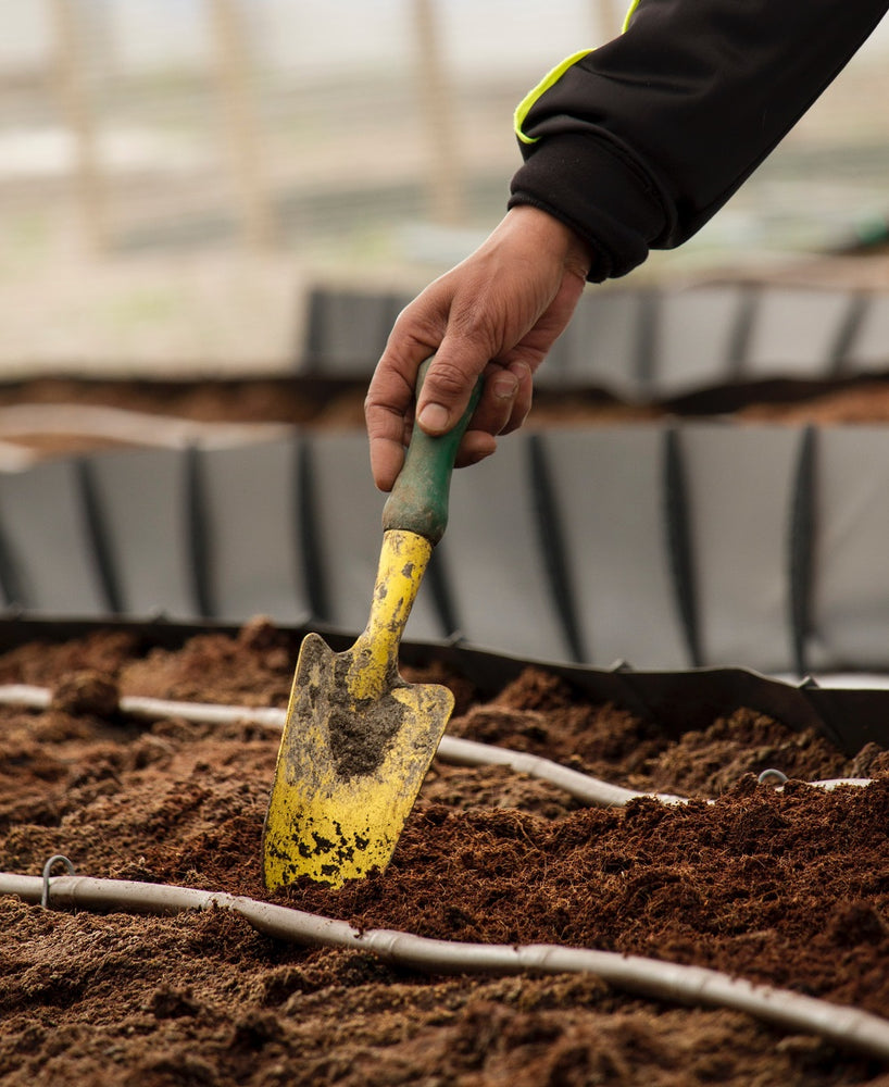 A Beginner’s Guide to Composting at Home