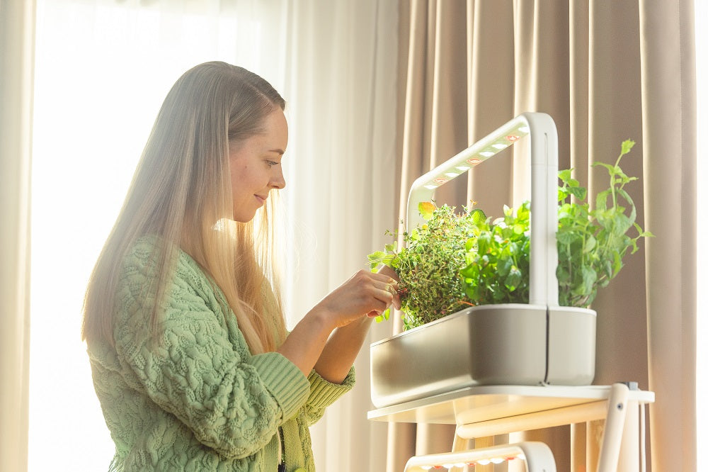 Outgrown your Smart Garden 9? Upgrade to the Smart Garden 27!