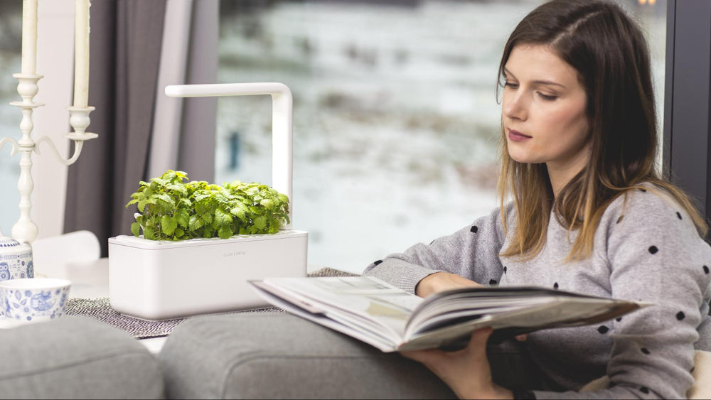 Fertilizing During Winter and the Perks of Being a Click & Grow Plant