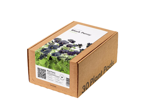 Black Pansy Plant Pods 30-pack