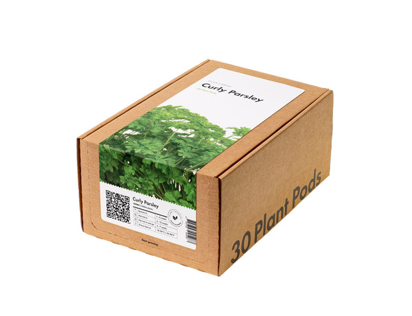 Curly Parsley Plant Pods 30-pack