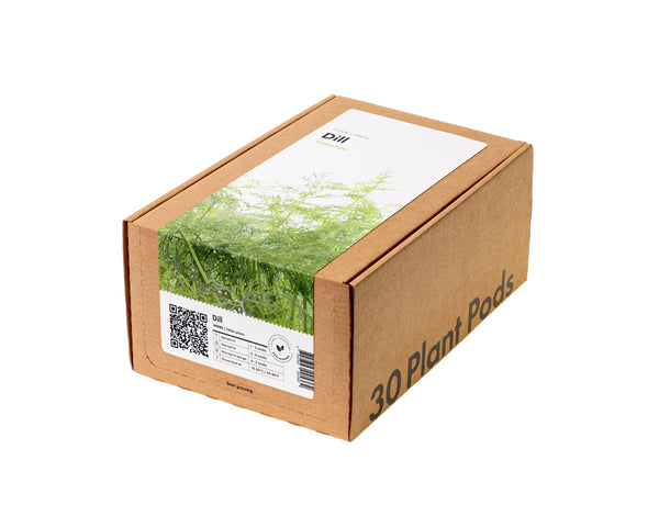 Dill Plant Pods 30-pack