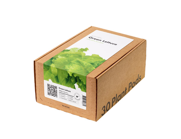 Green Lettuce Plant Pods 30-pack