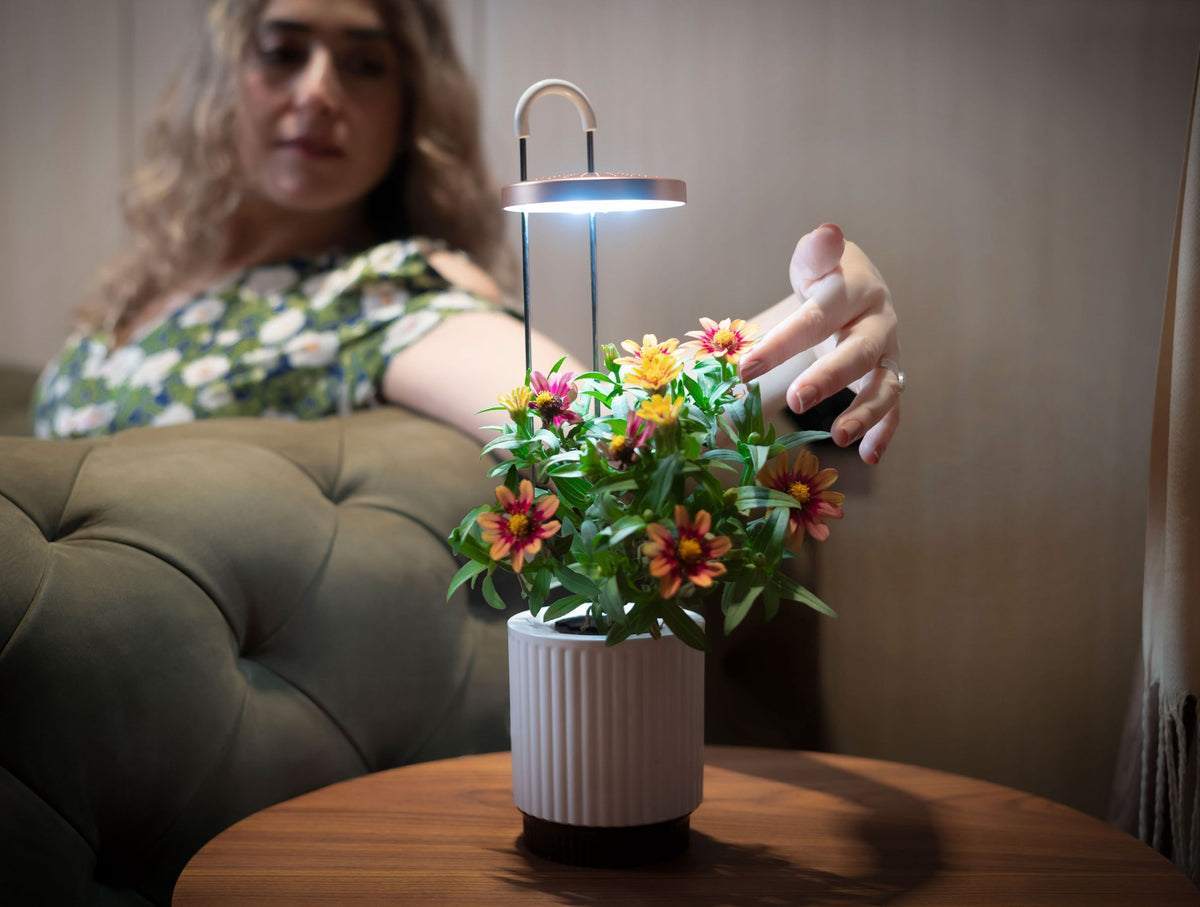 HydroVase by Ermonix / HydroVase by Ermonix