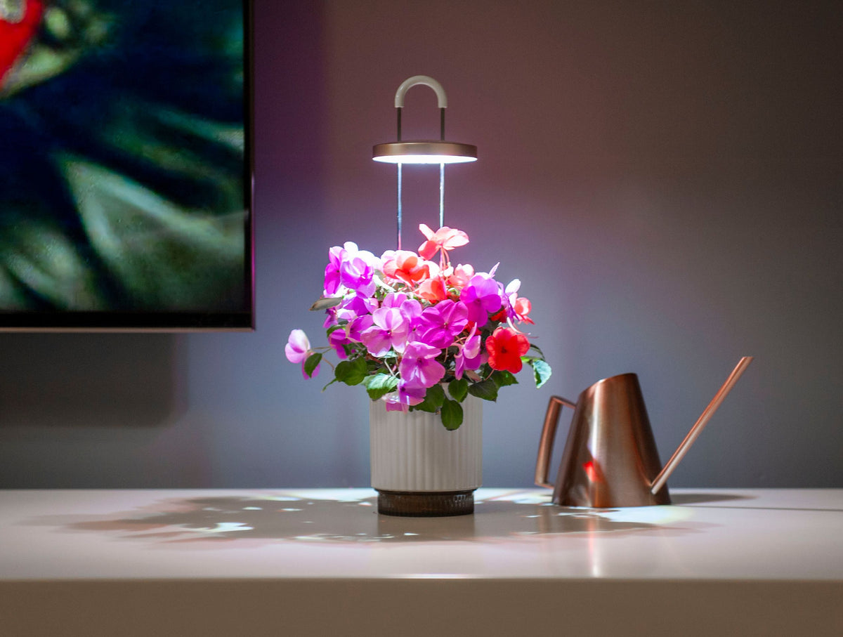 HydroVase by Ermonix / HydroVase by Ermonix