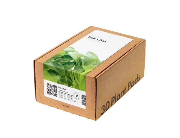 Pak Choi Plant Pods 30-pack