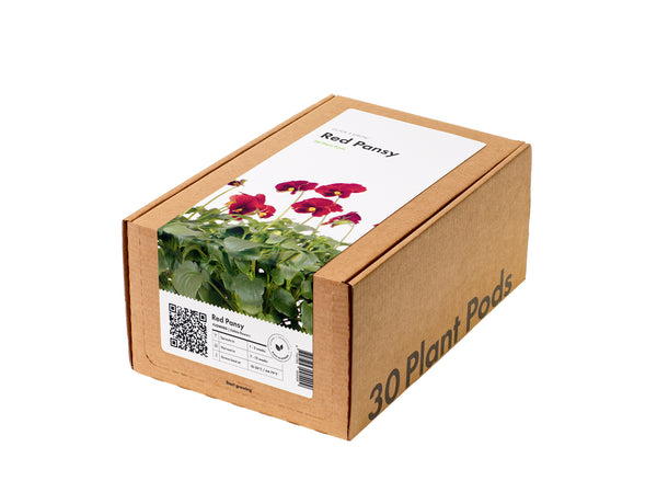 Red Pansy Plant Pods 30-pack