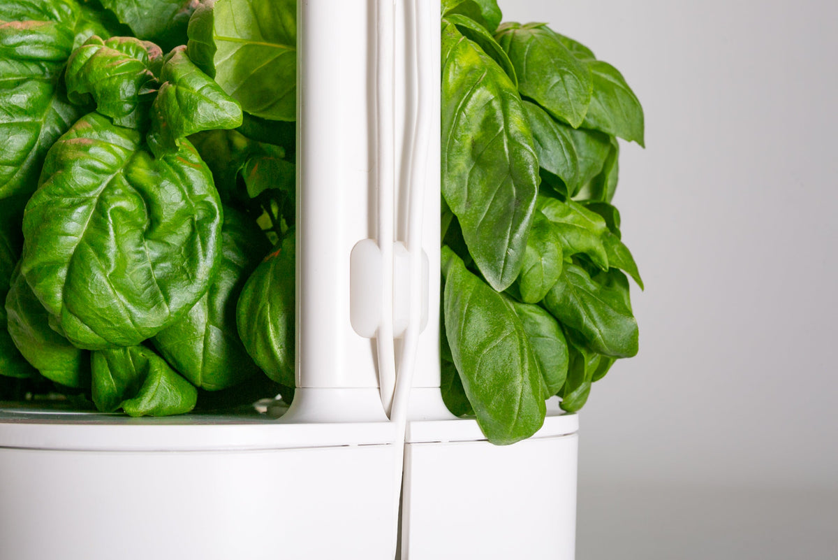 Supernova - Smart Garden 9 Upgrade Kit / Supernova - Smart Garden 9 Upgrade Kit