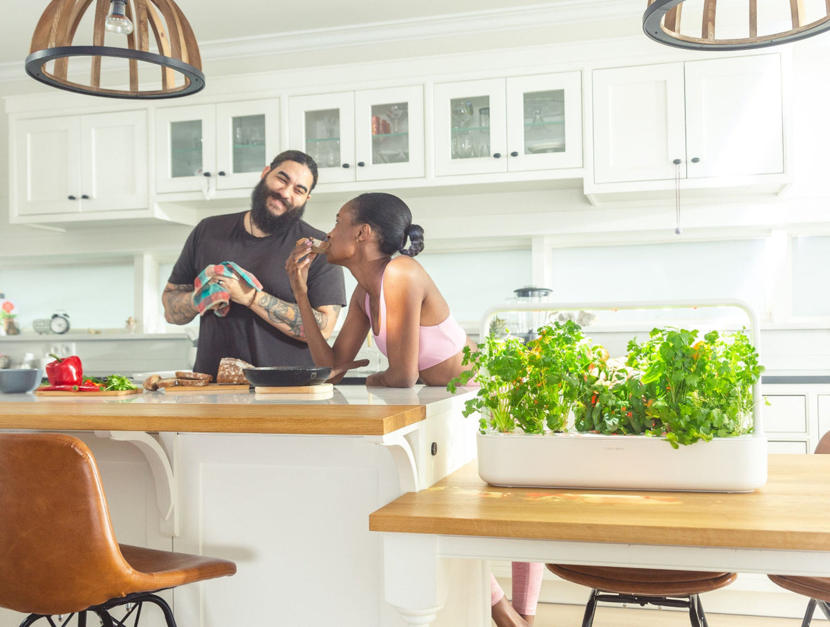 The Smart Garden 9 / The Smart Garden 9