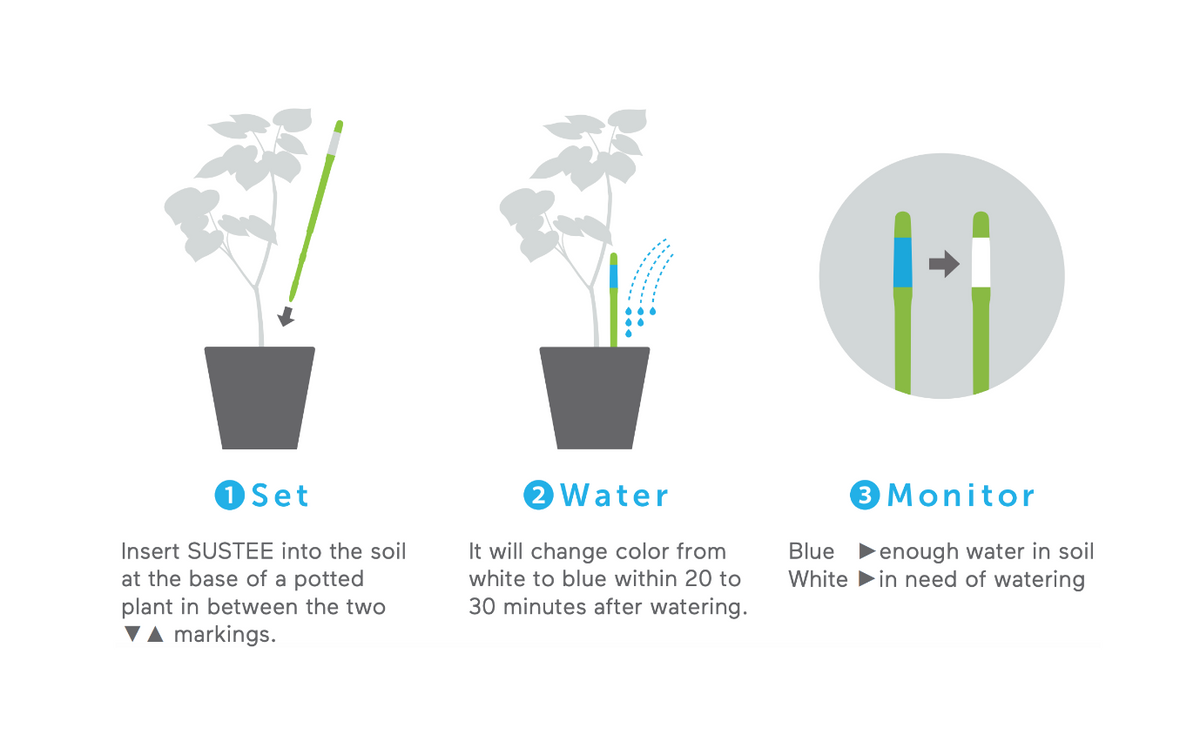 Plant Watering Indicator, Size M / Plant Watering Indicator, Size M