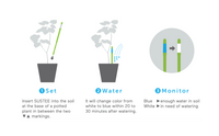Plant Watering Indicator, Size M / Plant Watering Indicator, Size M