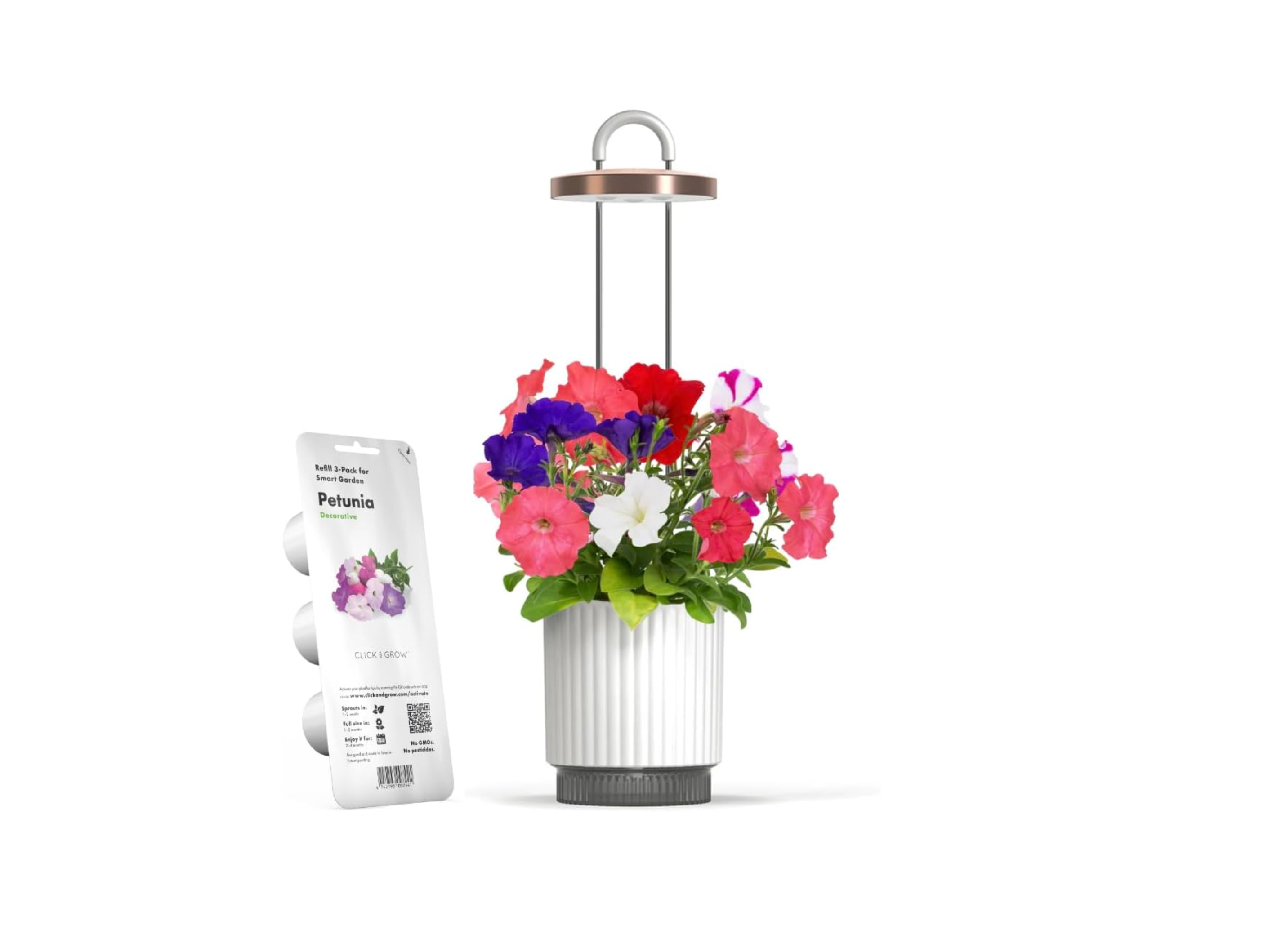 hydrovase_w_petunia_pp3.png?
