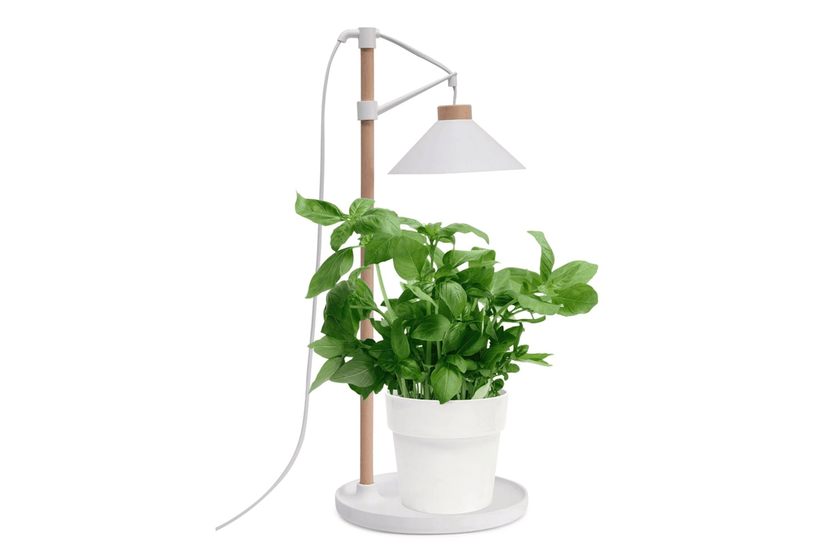 Tabletop Grow Light / Tabletop Grow Light