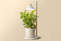 Tabletop Grow Light / Tabletop Grow Light