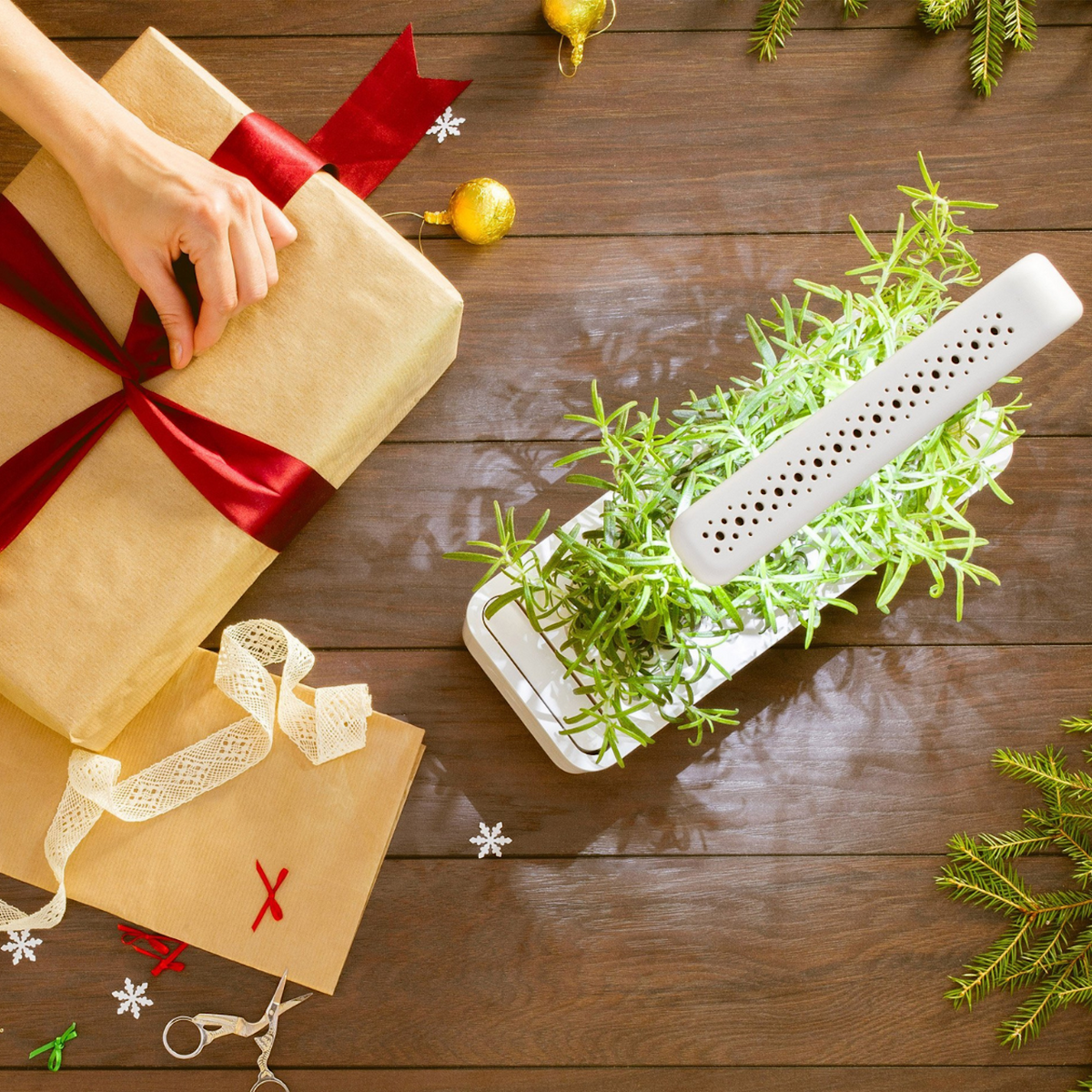 The Smart Garden 3 / The Smart Garden 3