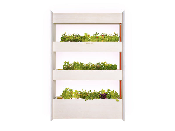 The Wall Farm Indoor Vertical Garden