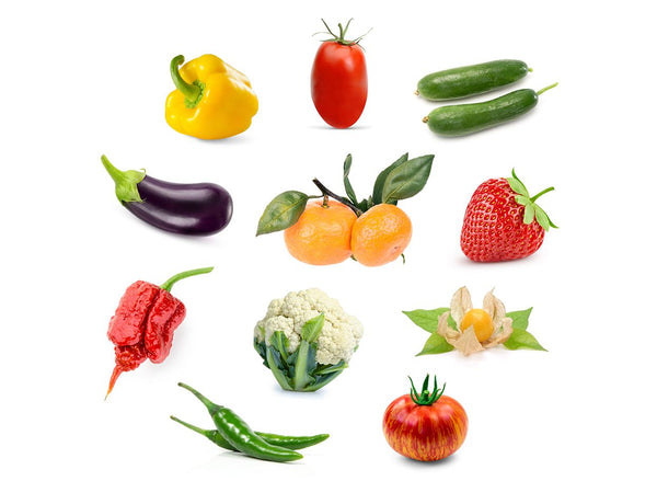 Grow Anything Plant Pods 3-pack (optimised for fruiting plants)