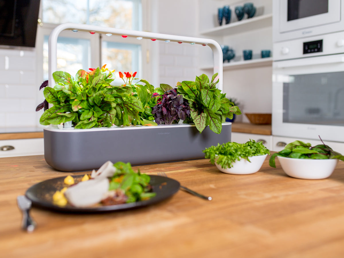 The Smart Garden 9 / A kitchen counter with The Smart Garden 9 by Click and Grow containing a plate of lettuce and a bowl of salad.