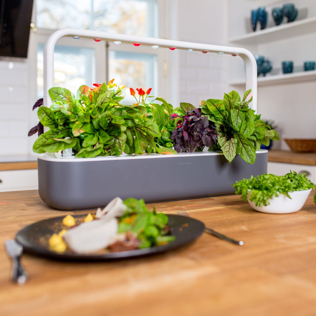 The Smart Garden 9 / A kitchen counter with The Smart Garden 9 by Click and Grow containing a plate of lettuce and a bowl of salad.