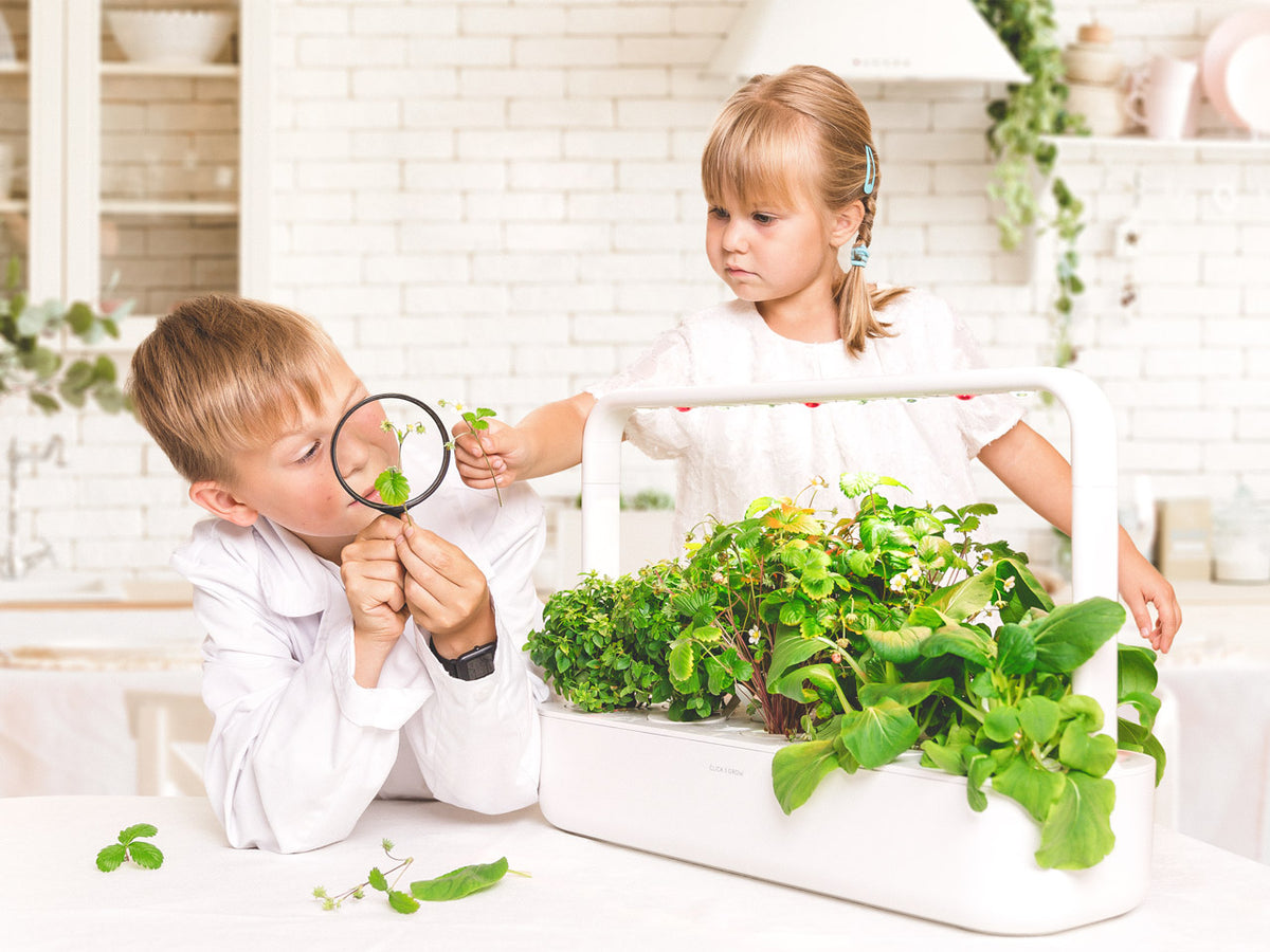 The Smart Garden 9 / A Click and Grow Smart Garden 9 with a boy and girl observing a plant through a magnifying glass.