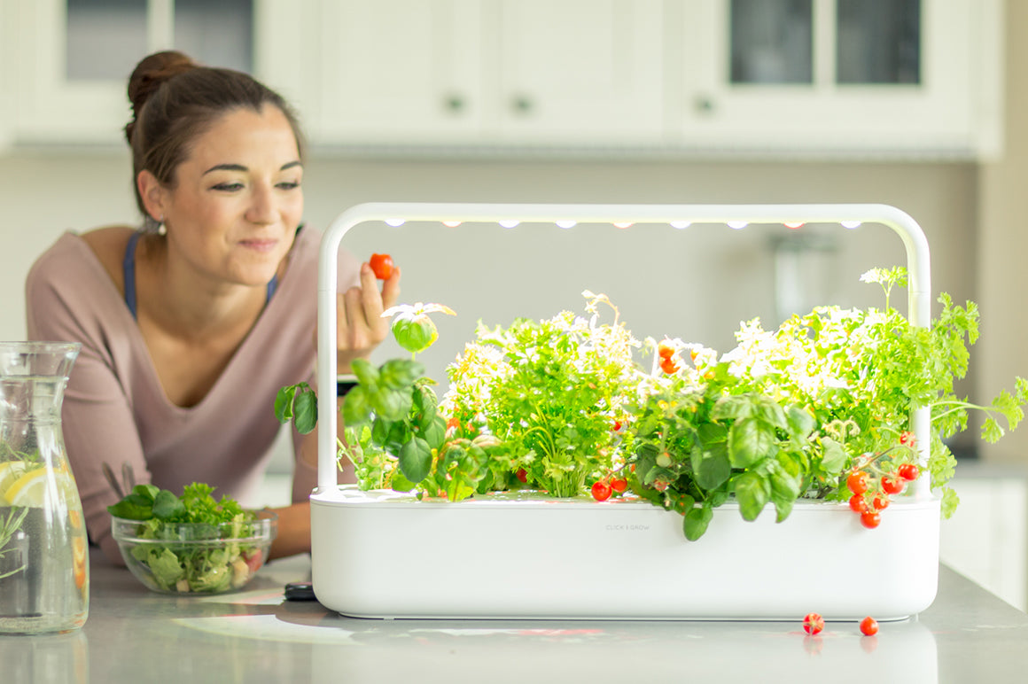 Click and grow smart garden is suitable for small places