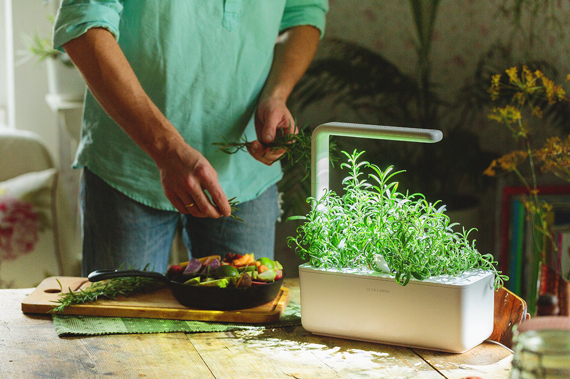 Add fresh greens to your menu easily