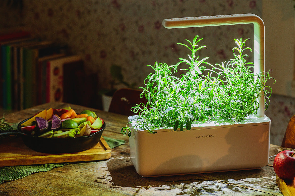 Choose from over 75 plants to create the perfect ambience in any room