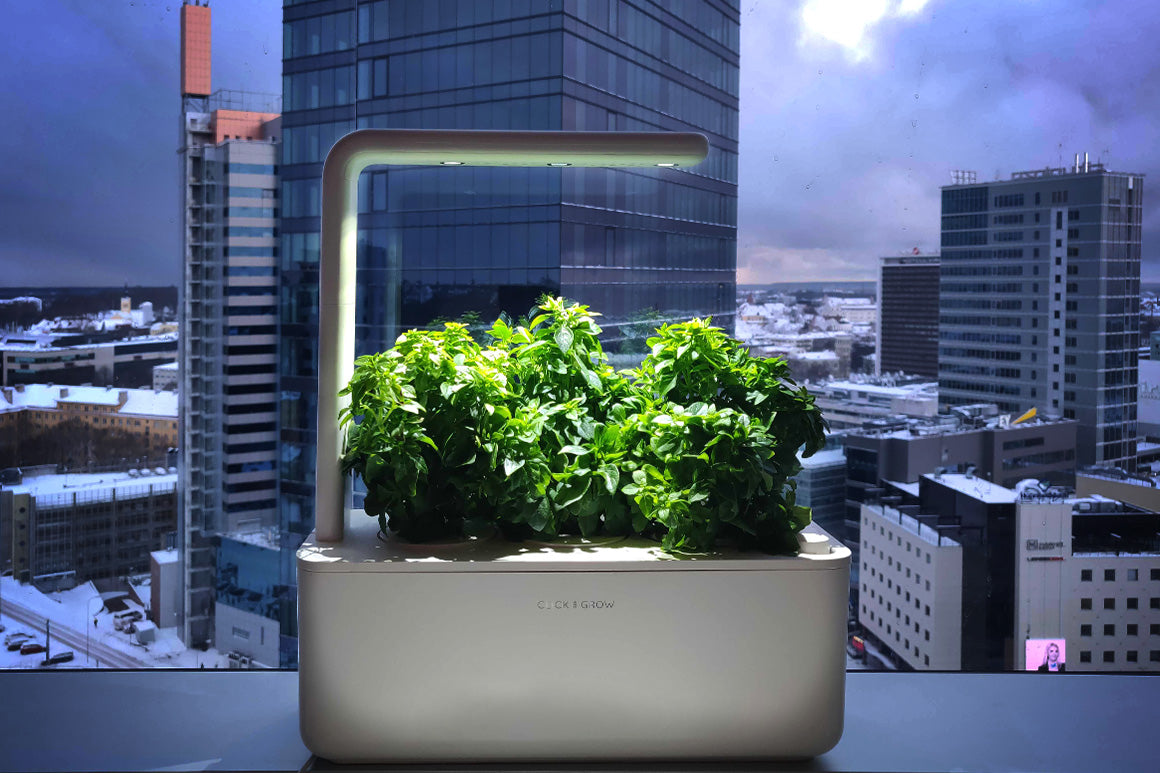 Energy-efficient LED lights mimic the sunlight, staying on for 16 hours and off for 8