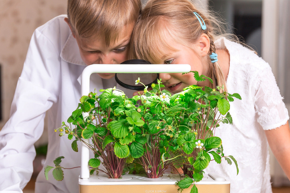 More than 75 plants with their own story and growing journey supported by app-delivered tips that guide you through seed germination, flowering and pollination