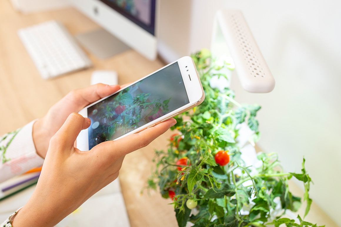 Get smart with the accompanying mobile app
