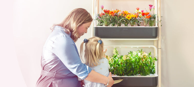Click and Grow - shop indoor gardens