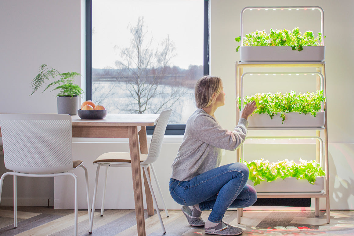 Growing your favourite plants should not be limited to specific seasons