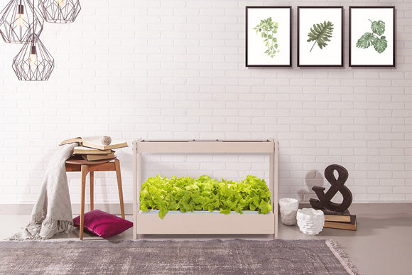 The Click and Grow 25 in a styled room