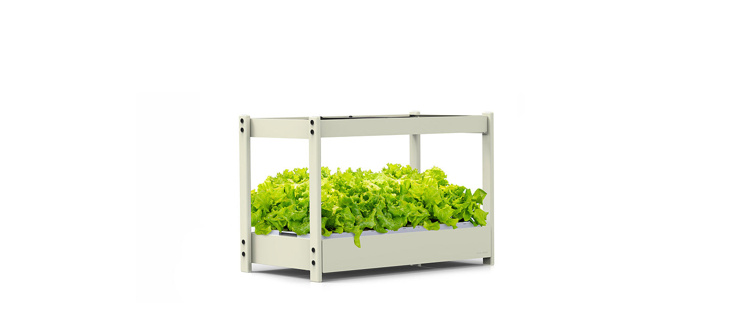 The Click and Grow 25 indoor garden