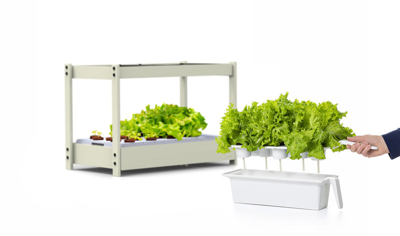 The Click and Grow 25 with a tray