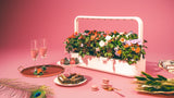 The Click & Grow Smart Garden 9 surrounded by romantic accessories.