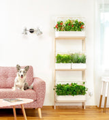 Vertical Indoor Garden by Click & Grow