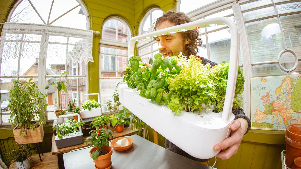 The difference between Click & Grow and hydroponic systems