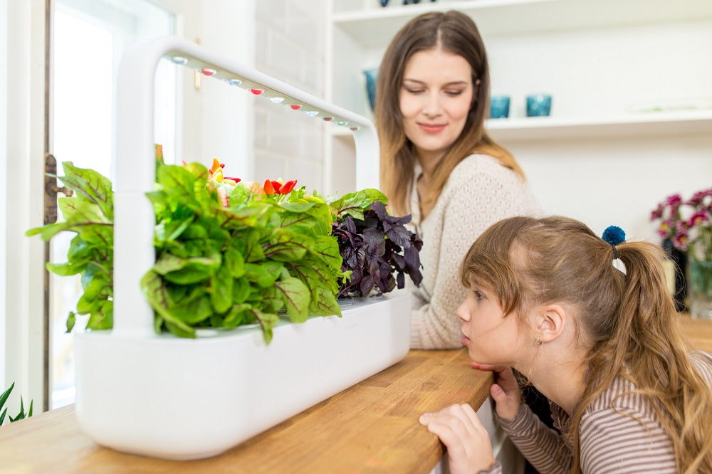 3 Ways Indoor Gardening Will Benefit You This Winter