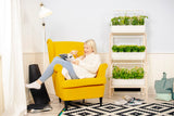 indoor gardening
