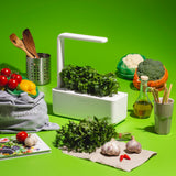 What Are Antioxidants and Why Do You Need Them?