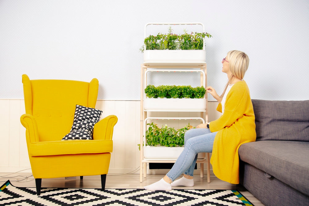 Women's Day Gift Ideas: Beautiful Indoor Gardens For Her Home