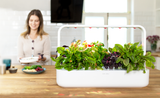The Story Of The Smart Garden 9. Click & Grow indoor garden.