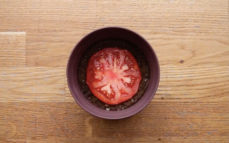 How To Feed Generations Forever With One Tomato