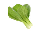 Pak Choi Plant Pods 9-pack