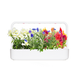 Among the Wildflowers Mix