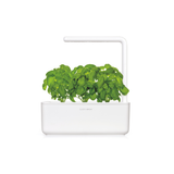 Flower Garden Bundle