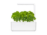 Basil Plant Pods 9-pack