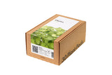Cilantro (Coriander) Plant Pods 30-pack