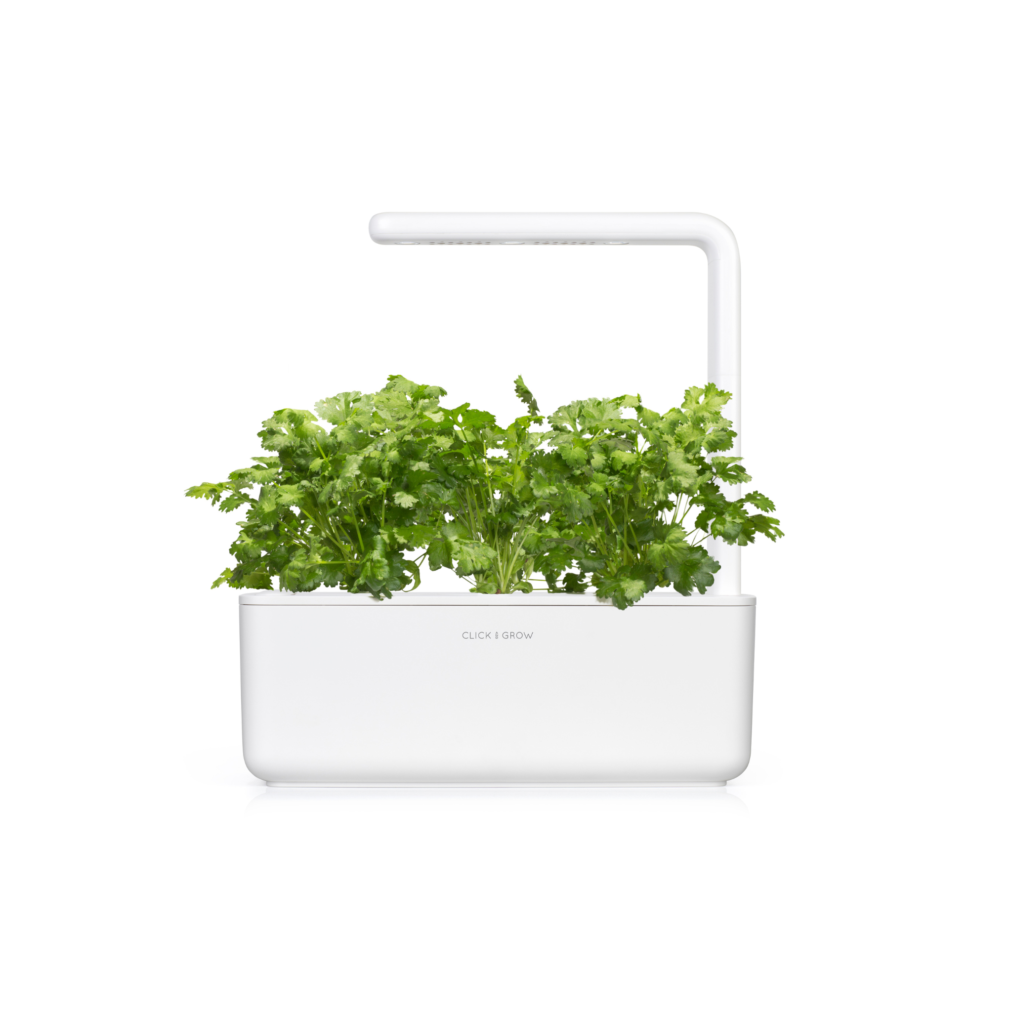 Herb Garden Bundle